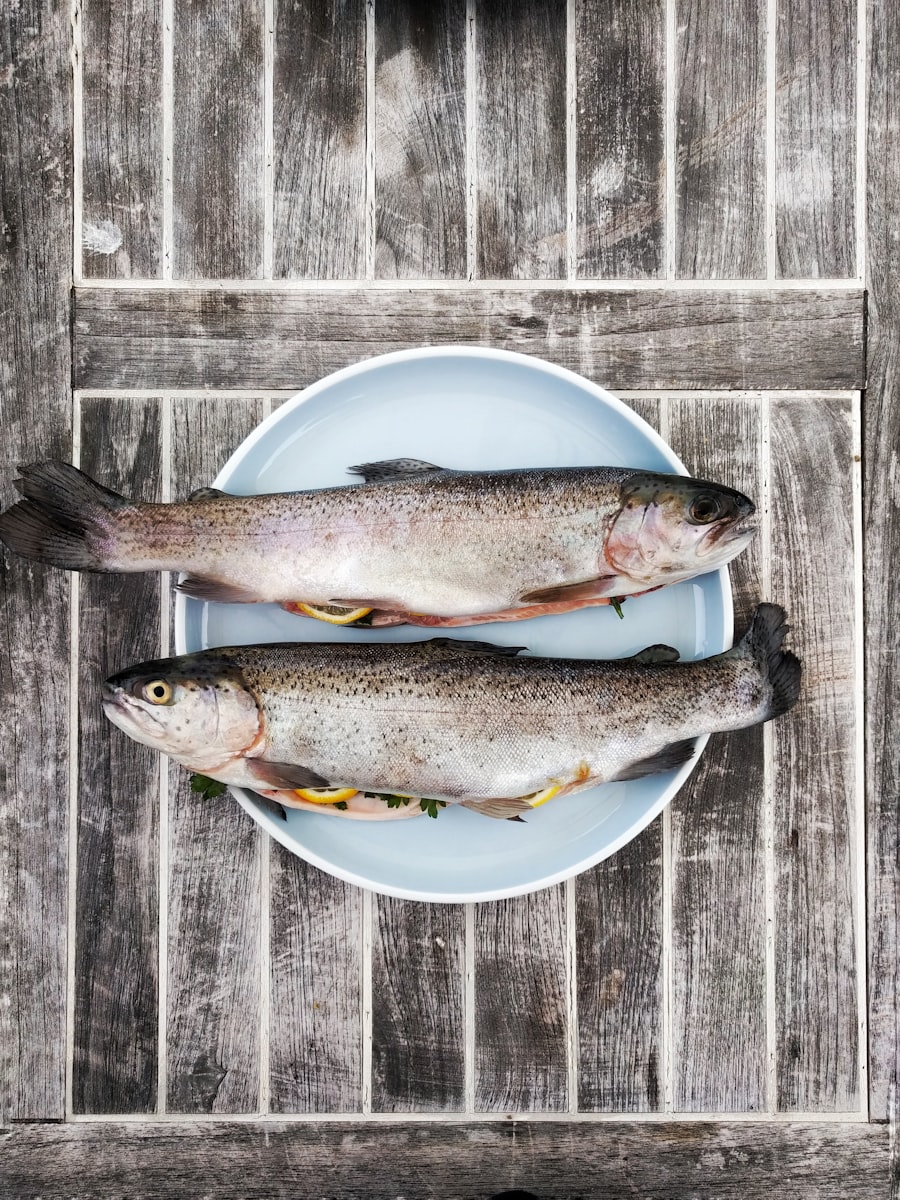 Daba-Gucun — Tuna