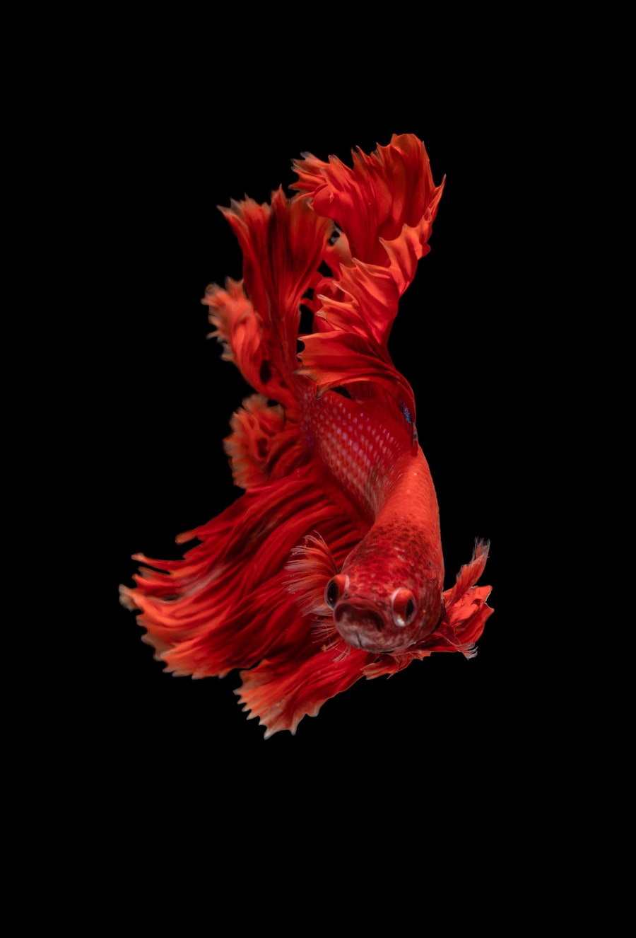 Tamad — Tuna